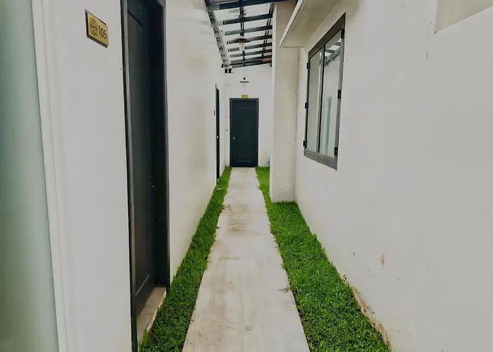 Botanic Garden Hotel 3*